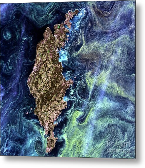 Algal Bloom Metal Print featuring the photograph Algae Bloom In The Baltic Sea by Usgs/nasa/landsat 7/science Photo Library