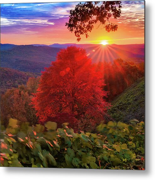 America Metal Print featuring the photograph Autumn Splendor at Artist Point - Mountainburg Arkansas by Gregory Ballos