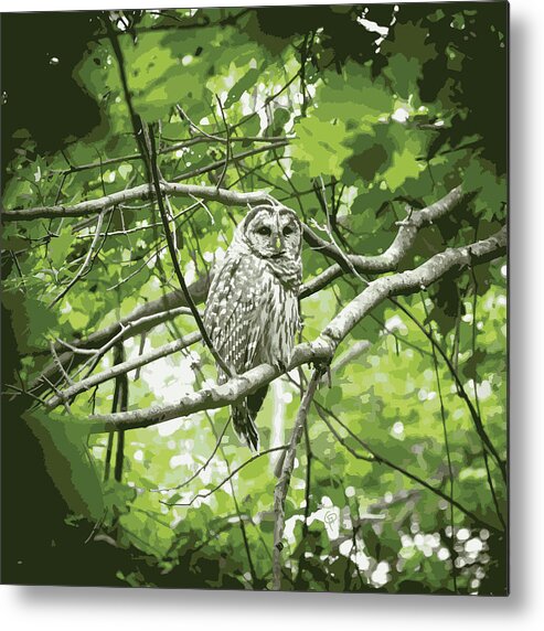 Vector Metal Print featuring the digital art Backyard Barred Owl by George Pennington