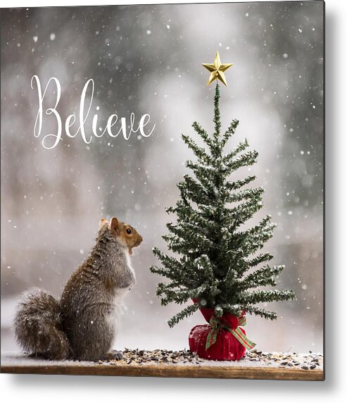 Believe Christmas Tree Squirrel Square Metal Print featuring the photograph Believe Christmas Tree Squirrel Square by Terry DeLuco