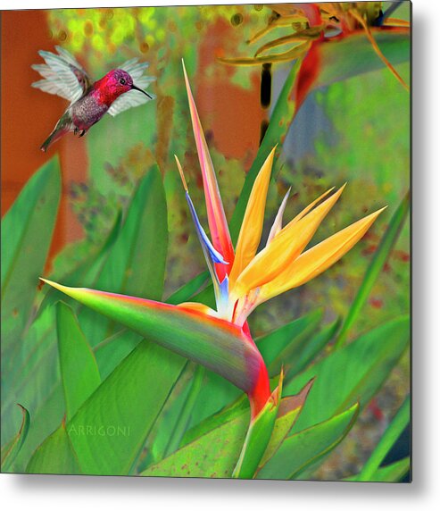 Bird Of Paradise Metal Print featuring the painting Birds of Paradise, Green by David Arrigoni