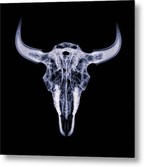 Kansas Metal Print featuring the photograph Bison skull x-ray 01 by Rob Graham