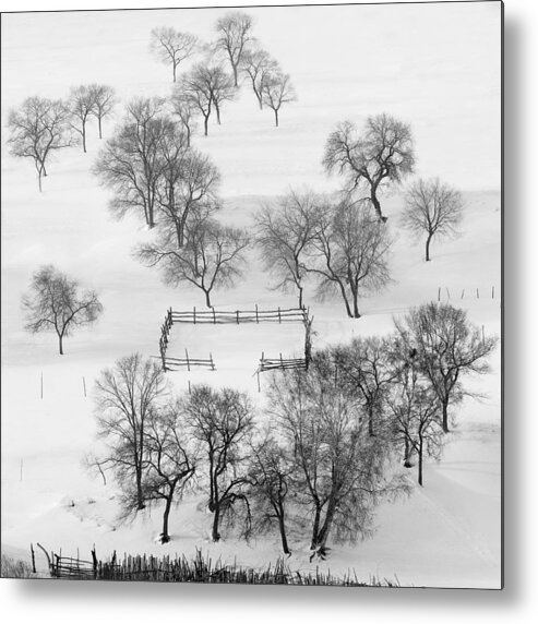 Landscape Metal Print featuring the photograph Black And White World, Quietly Waiting. by Shu-guang Yang