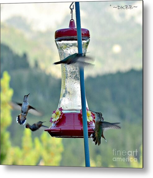 Hummingbirds Metal Print featuring the photograph Busy Time at the Feeder by Dorrene BrownButterfield