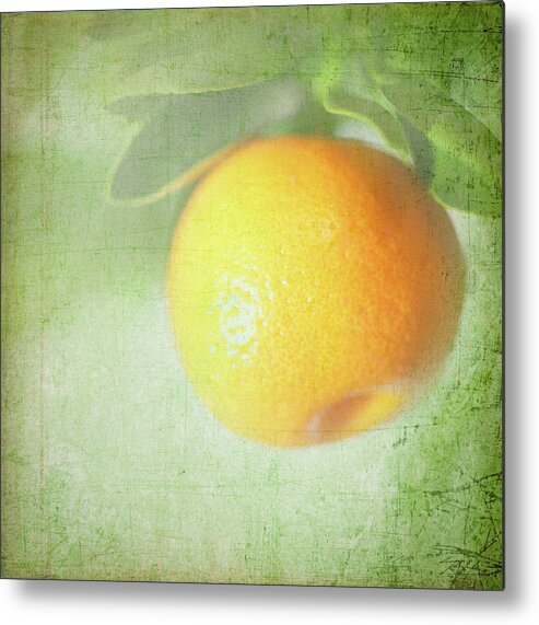 Hanging Metal Print featuring the photograph Calamondin by Peter Chadwick Lrps