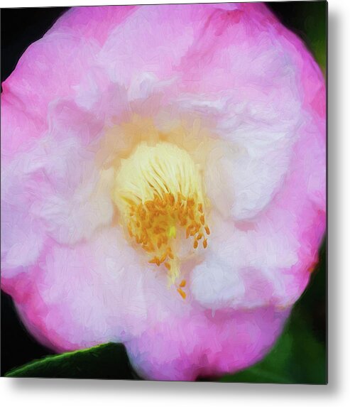 Camellia Metal Print featuring the photograph Camellias Japonica 123 by Rich Franco
