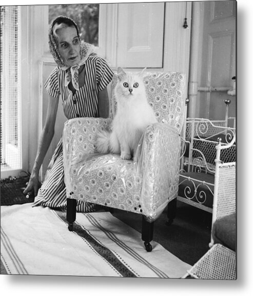 Pets Metal Print featuring the photograph Cat Lover by Chaloner Woods