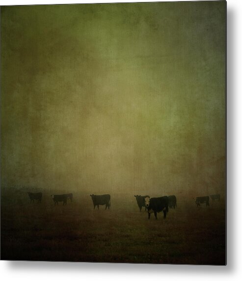 Pets Metal Print featuring the photograph Cattle In The Mist by Jill Ferry