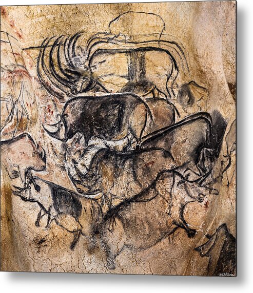 Chauvet Rhinoceros Panel Metal Print featuring the digital art Chauvet - Rhinoceros Panel by Weston Westmoreland