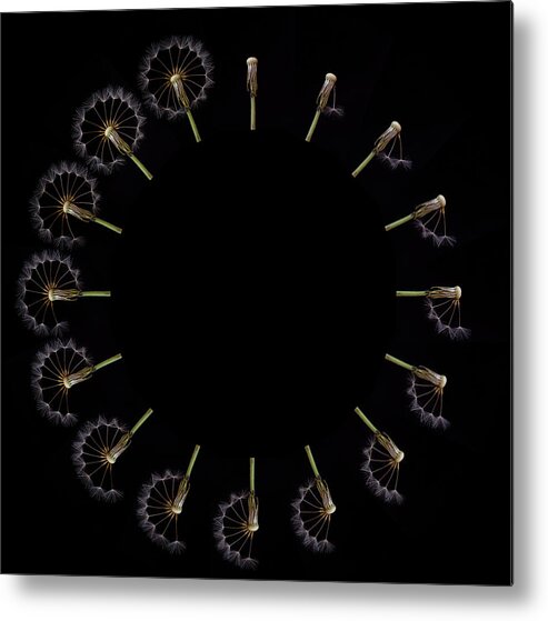 Dandelion Metal Print featuring the photograph Clock Dandelion by Art Lionse