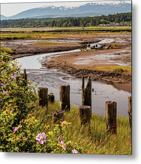 Landscapes Metal Print featuring the photograph Courtenay River Estuary by Claude Dalley