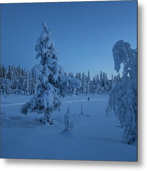 Scenics Metal Print featuring the photograph Cross Country Skiing In The Moonlight by Per Breiehagen