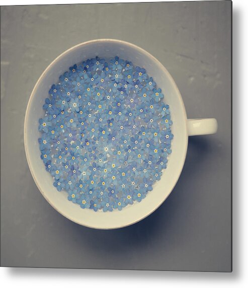Netherlands Metal Print featuring the photograph Cup Of Forget Me Not by Paula Daniëlse