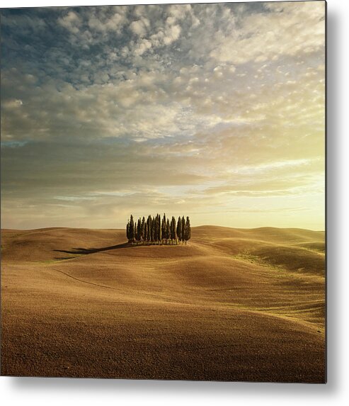 Val D'orcia Metal Print featuring the photograph Cypress Trees In Tuscany by Peter Zelei Images