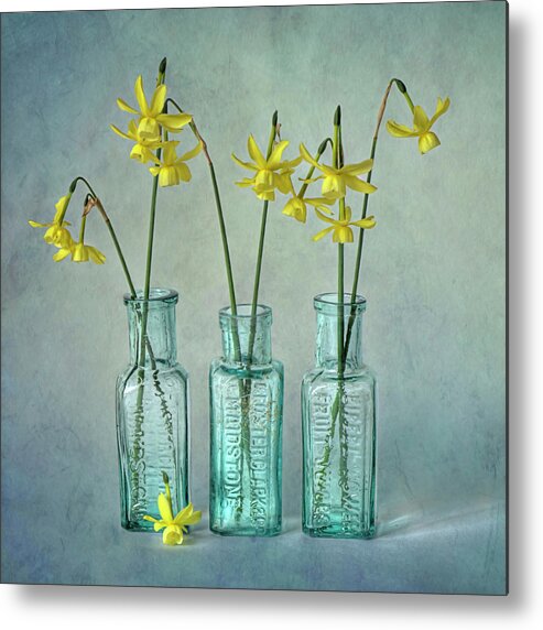 Buckinghamshire Metal Print featuring the photograph Daffodils In Three Glass Bottles by Jacky Parker Photography