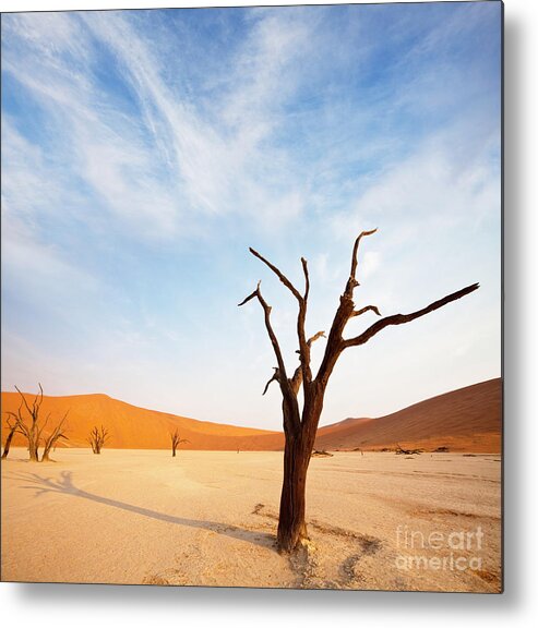 Death Metal Print featuring the photograph Death Valley by Galyna Andrushko