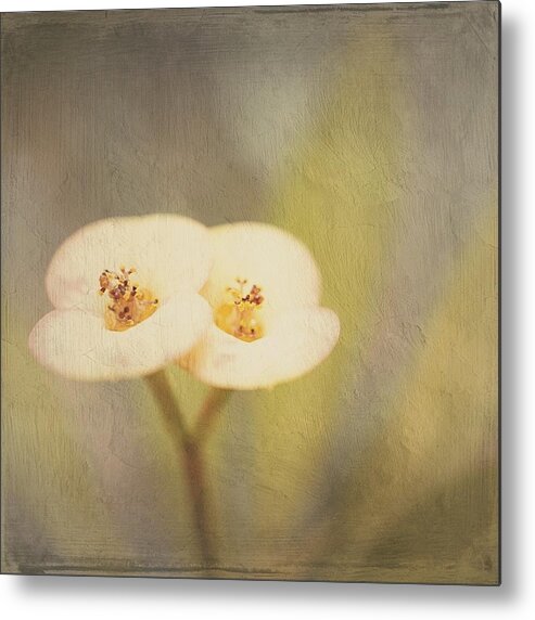 Outdoors Metal Print featuring the digital art Double tenderness by Silvia Marcoschamer