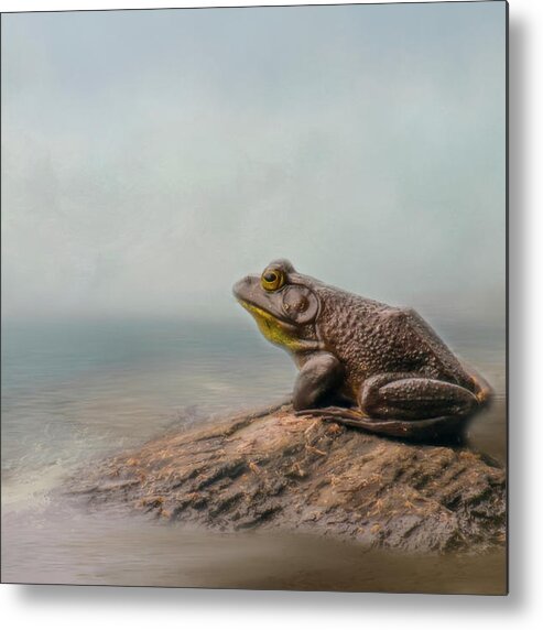 Frog Metal Print featuring the photograph Dreaming by Cathy Kovarik