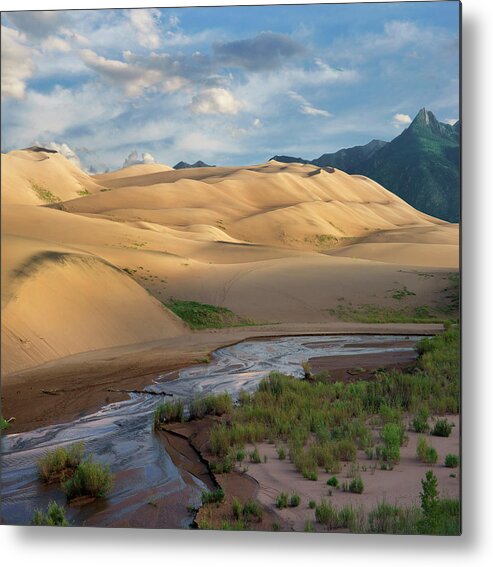 00555603 Metal Print featuring the photograph Dunes And River, Great Sand Dunes National Park, Colorado by Tim Fitzharris