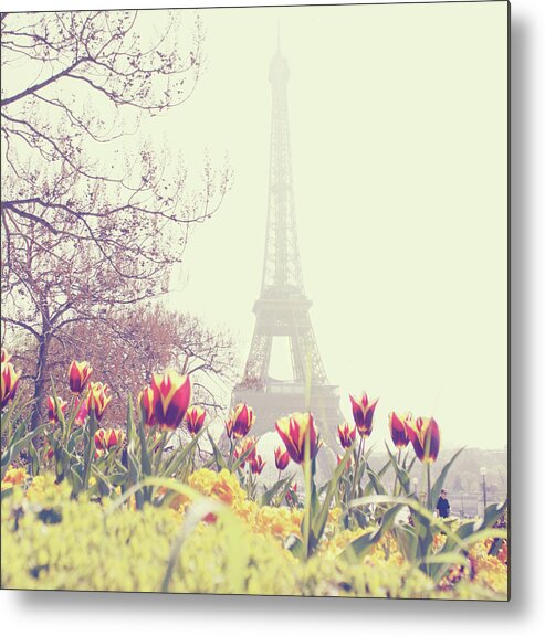 Built Structure Metal Print featuring the photograph Eiffel Tower With Tulips by Gabriela D Costa