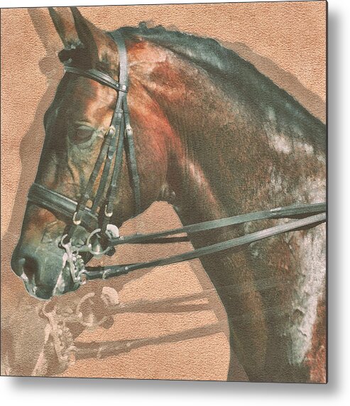 Art Metal Print featuring the photograph Equus Duet by Dressage Design