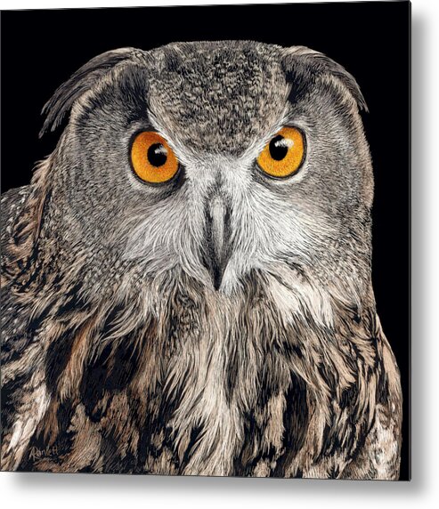 Owl Metal Print featuring the drawing Eurasian Eagle Owl by Ann Ranlett