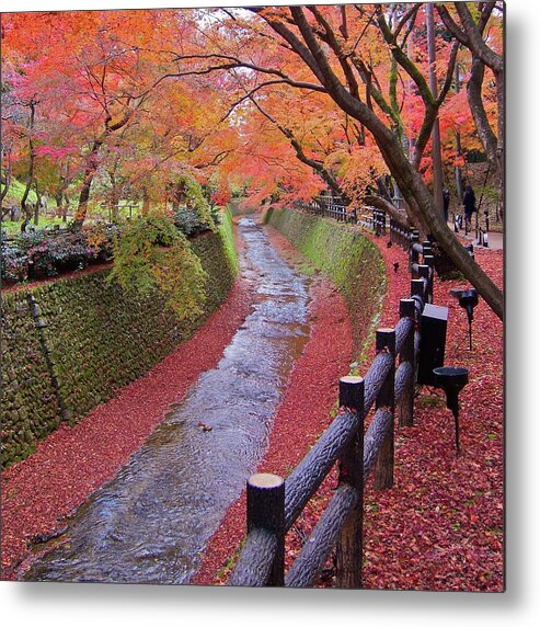 Outdoors Metal Print featuring the photograph Fall Colors Along Bending River In Kyoto by Jake Jung