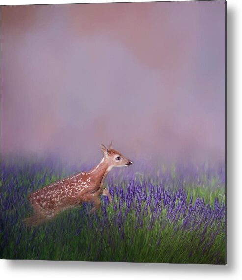 Square Metal Print featuring the photograph Fawn Frolic Square by Bill Wakeley