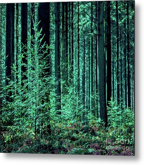 Forest Metal Print featuring the digital art Forest Emerald by Corinne Carroll