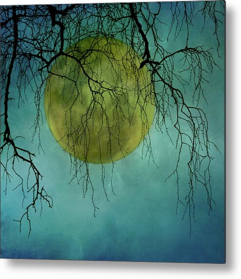 Outdoors Metal Print featuring the photograph Full Moon by Jill Ferry