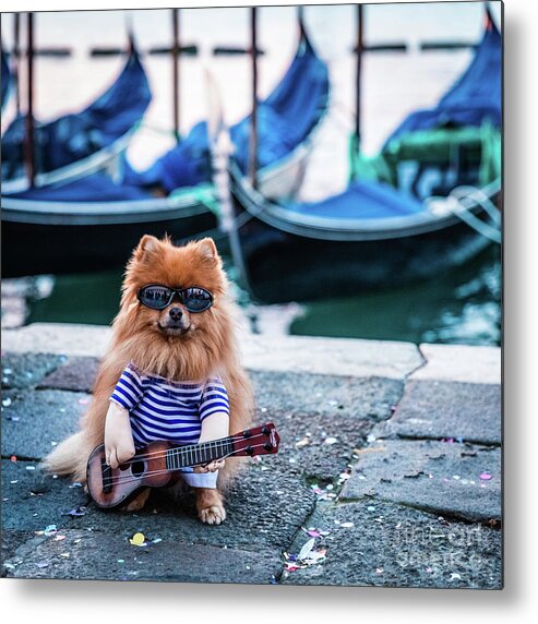 Dog Metal Print featuring the photograph Funny dog at the carnival in Venice by Lyl Dil Creations