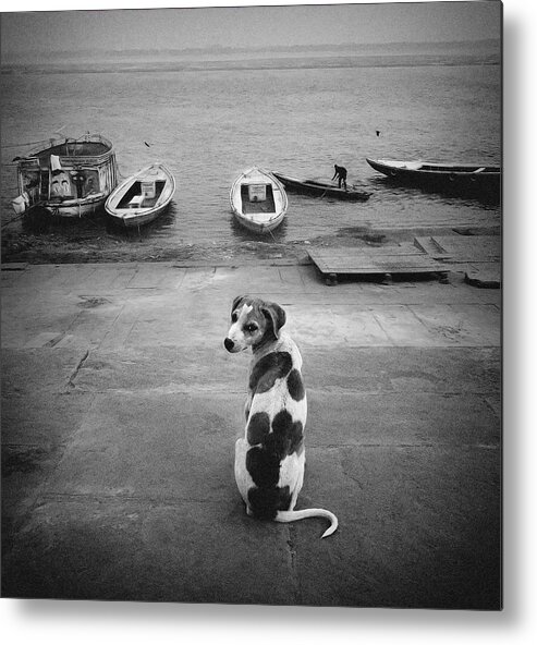 Dog Metal Print featuring the photograph Ghats by Roxana Labagnara