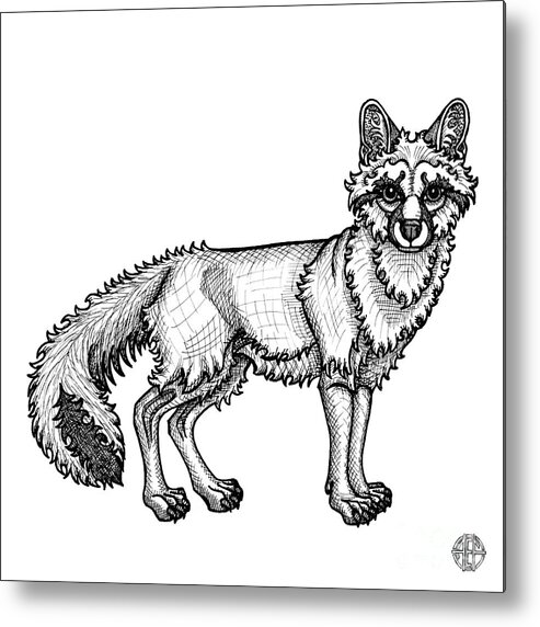 Animal Portrait Metal Print featuring the drawing Gray Fox by Amy E Fraser