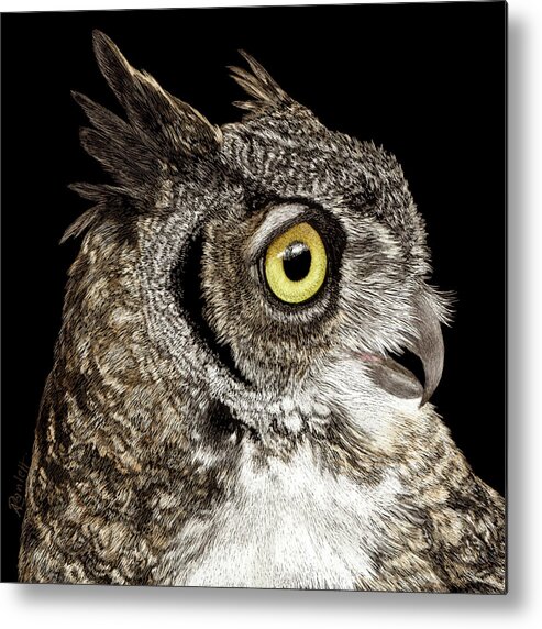 Owl Metal Print featuring the drawing Great-horned Owl by Ann Ranlett