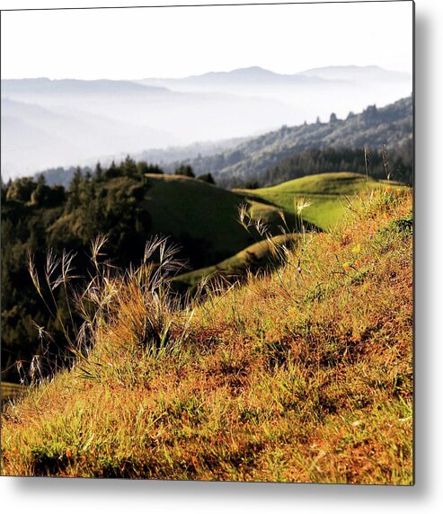 Photography Metal Print featuring the photograph Hilltop Vista by Lance Kuehne