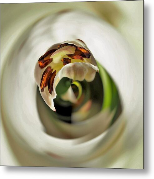 Flowers Metal Print featuring the photograph In Depth Analysis by Bearj B Photo Art