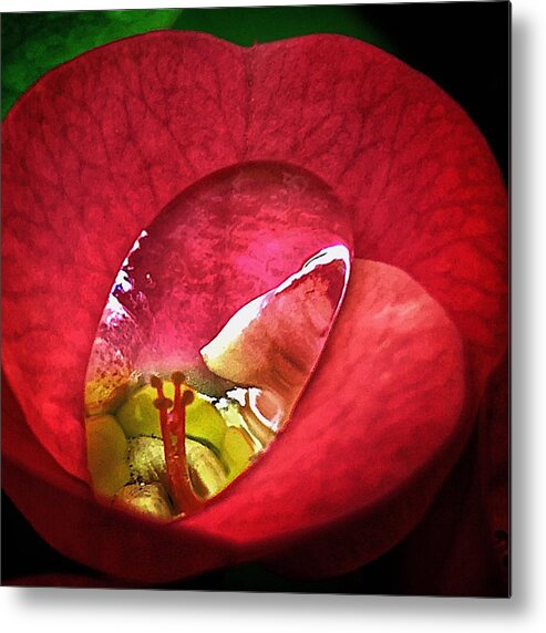 Red Metal Print featuring the tapestry - textile Inner Beauty by Al Swasey