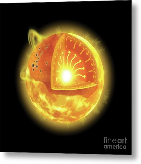 Sun Metal Print featuring the photograph Internal And Surface Structure Of The Sun by Tim Brown/science Photo Library
