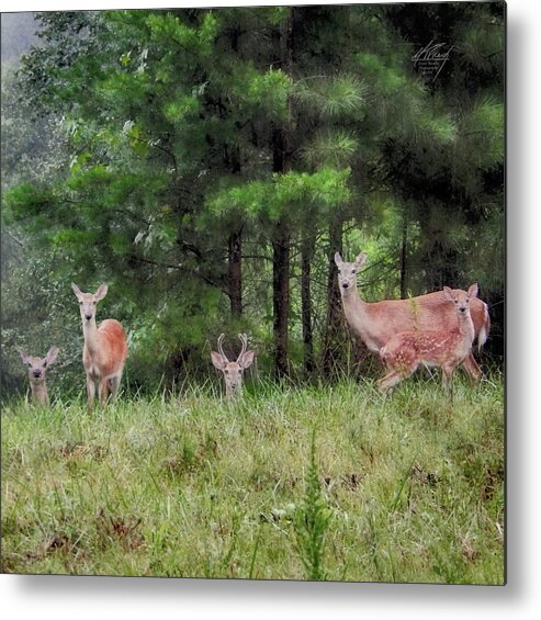 Deer Metal Print featuring the photograph I've Been Spotted by Michael Frank