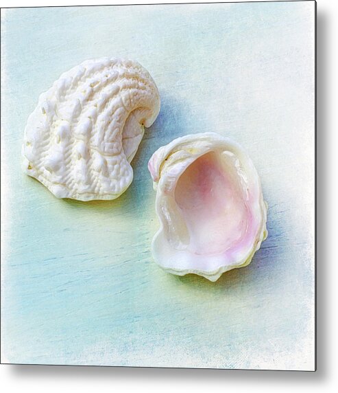 Florida Metal Print featuring the photograph Jewel of the Sea by Kathi Mirto