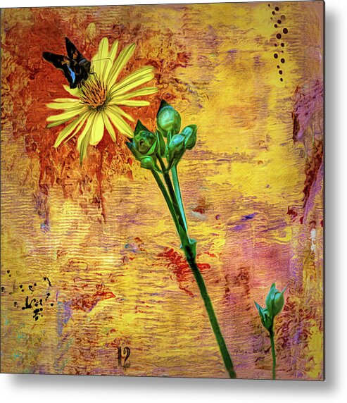 Joy In The Ordinary Metal Print featuring the photograph Joy In The Ordinary by Bellesouth Studio