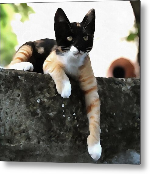 Cat Metal Print featuring the painting Just Chillin Tricolor Cat by Taiche Acrylic Art