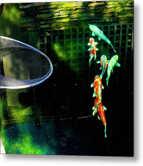 Koi Metal Print featuring the photograph Koi 2018 3b by Phyllis Spoor