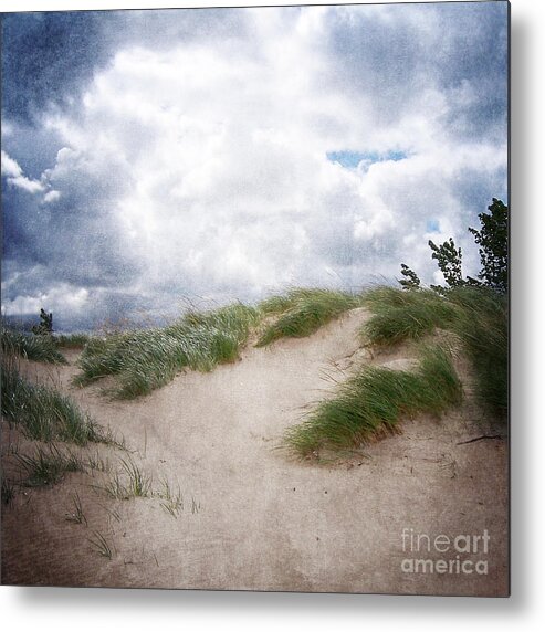 Holland Metal Print featuring the photograph Lake Michigan Sand Dunes by Phil Perkins
