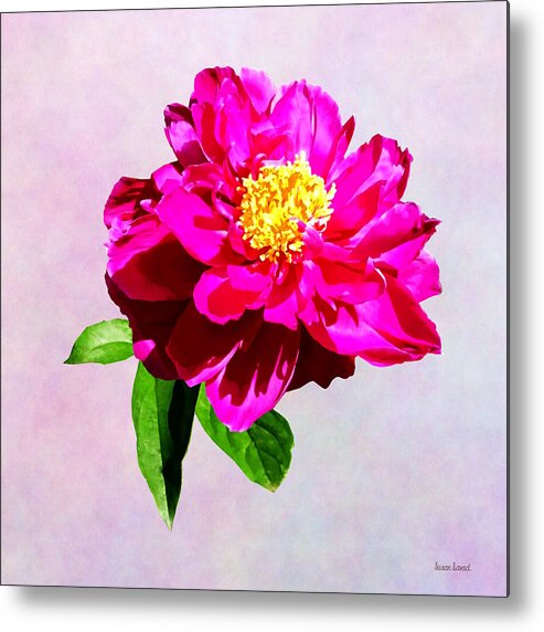 Peony Metal Print featuring the photograph Magenta Peony in Sunshine by Susan Savad