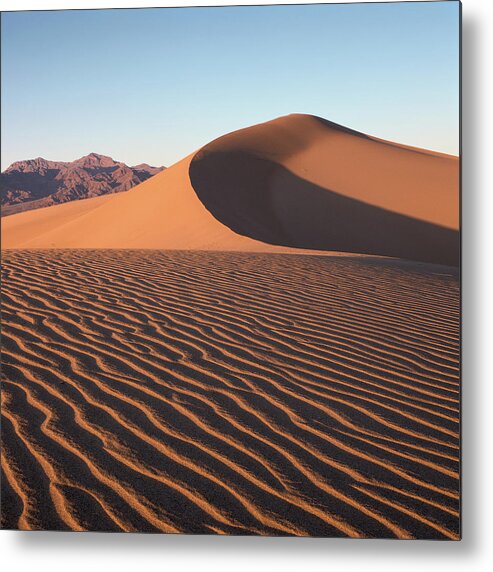 California Metal Print featuring the photograph Mesquite Dunes #1-SQ by Tom Daniel