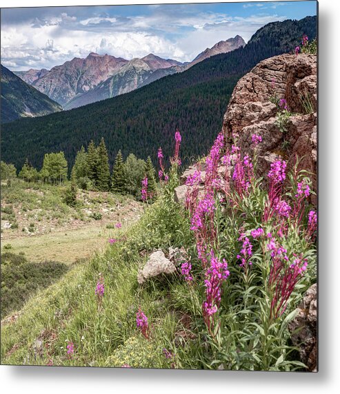 America Metal Print featuring the photograph Molas Pass Mountain Landscape - Colorado San Juan Mountains by Gregory Ballos