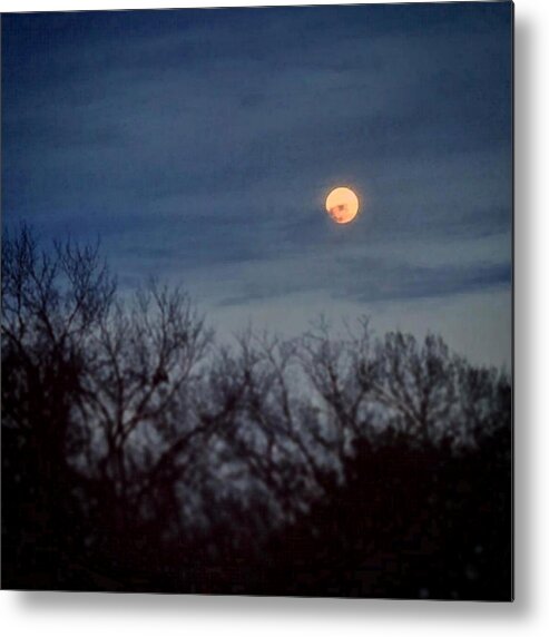 Daniel Metal Print featuring the painting Moonrise and Trees by Daniel Nelson