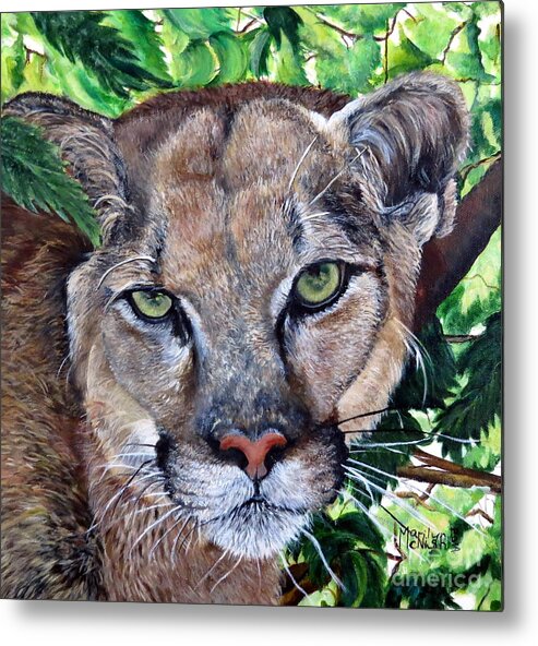 Mountain Lion Metal Print featuring the painting Mountain Lion Portrait by Marilyn McNish