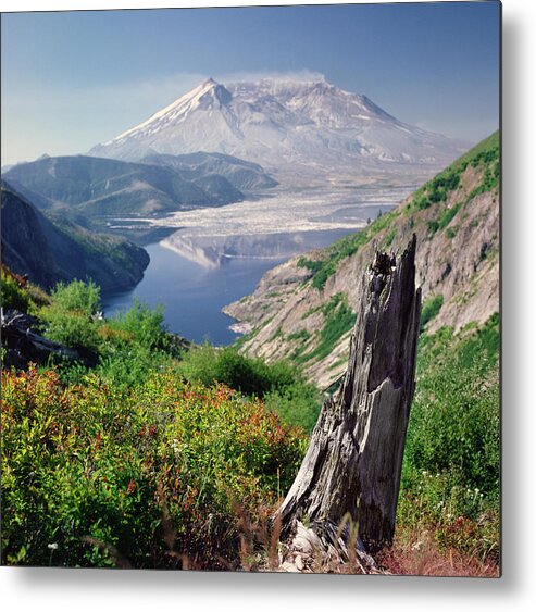 Scenics Metal Print featuring the photograph Mt. St. Helens by Danielle D. Hughson